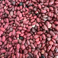 لوبیا قرمز سفید|خوردنی و آشامیدنی|اسفراین, |دیوار