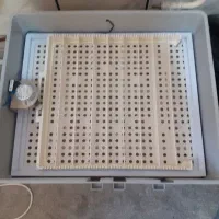 دستگاه جوجه‌کشی‌۵۶تایی‌بلدرچین‌دماوند|لوازم جانبی حیوانات|مزرعه کتول, |دیوار