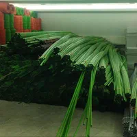 الکتریکی لوله پلیکا لوله pvc قوطی کلید زانو|عمده‌فروشی|زنجان, |دیوار