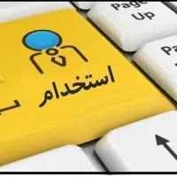 کارشناس IT