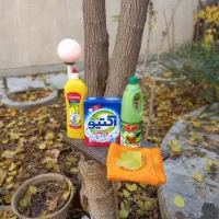 راحترین و پر درآمدترین کار باقرار داد