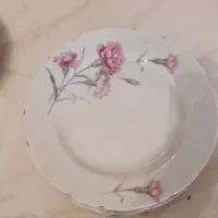 بشقاب چینی قدیمی گل میخک سایز 21 تعداد ۴ عدد