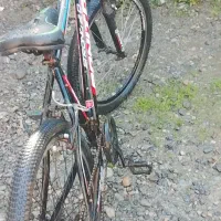 دوچرخه سایز ۲۶|دوچرخه، اسکیت، اسکوتر|سرخنکلاته, |دیوار