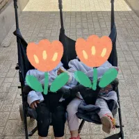 کالسکه دوقلویی