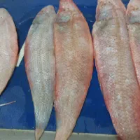 ماهی زبون 350مخلوطی. ریز درشت