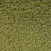 چمن مصنوعی هلندی