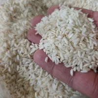 برنج سالم و نیمدانه معطر دورود