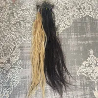 ۲۵۰شاخه موی طبیعی از سر چیده شده|آرایشی، بهداشتی، درمانی|بهار, |دیوار