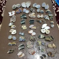 سنگ معدنی و طبیعی|کلکسیون اشیاء عتیقه|شیراز, لاله|دیوار