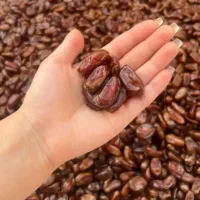 مخصوص کودک