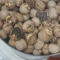 گردو بادام کشمش شیره انگور برگه آنخ لوبیا عدس نخود|خوردنی و آشامیدنی|قوچان, |دیوار