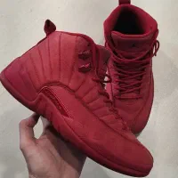 jordan 12|کیف، کفش، کمربند|تهران, دزاشیب|دیوار