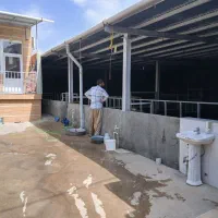 گاوداری 40 راسی|فروش دفتر صنعتی، کشاورزی، تجاری|صحنه, |دیوار