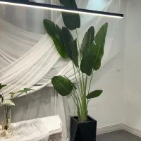 درختچه تزئینی
