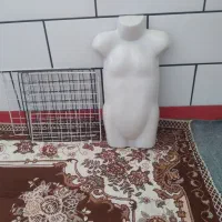 مانکن بچه گانه و ویترین
