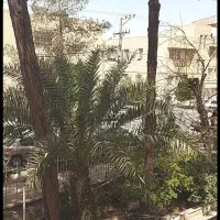 زمین 103 متری هجرت