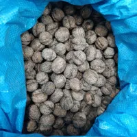 گردو درجه یک خوش طعم