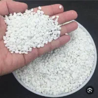 جادوی رشد گیاهان با پرلیت