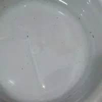 ماهی با آکواریوم و لوازم|ماهی|چهاردانگه (تهران), |دیوار