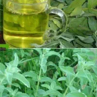 داوطلب یادگیری انواع اکسیرهای پوستی درمانی