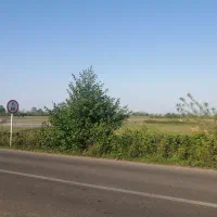 فروش فوری زمین 1000 متری گوراب زرمیخ ندامان|فروش زمین و ملک کلنگی|گوراب زرمیخ, |دیوار