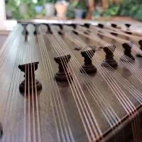 سنتور مهر موسوی