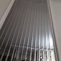 لنگه گوشواره پیدا شده