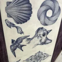 اموزش تتو تاتو بدن .تتو صورت اموزشگاه  سالن زیبایی|خدمات آموزشی|خرم‌آباد, |دیوار