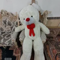 یک عد پاندا نو به فروش میرسد