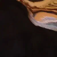 فروش رب انار|خوردنی و آشامیدنی|تهران, مقدم|دیوار