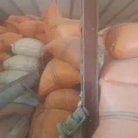 فروش کاه دیم گندم