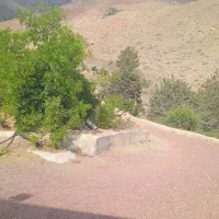 استخدام کارگر مزرعه با خانواده + اسکان کامل