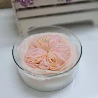 شمع دستساز نیک کندل|صنایع دستی و سایر لوازم تزئینی|مشهد, آزادشهر|دیوار