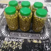 زیتون ارگانیک