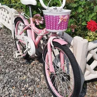 دوچرخه صورتی سایز۲۰|دوچرخه، اسکیت، اسکوتر|آستانه اشرفیه, |دیوار