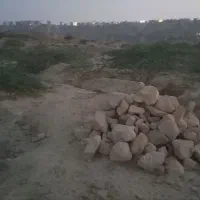 زمین در تیس