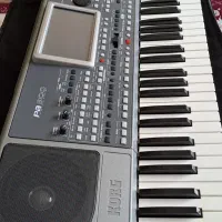 pa900|پیانو، کیبورد، آکاردئون|اهر, |دیوار