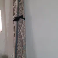 یه عدد فرش ۹ متری ۷ میلون در حد نو