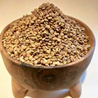 خریدار سماق وگزو
