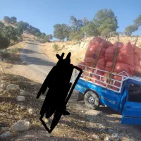 باربری در تمام نقاط کشور