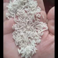 برنج ایرانی کلی جزئی