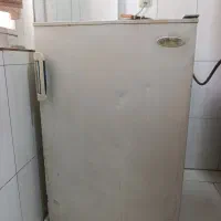 یخچال پنج فوت برندآزمایش کم جا