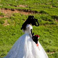 لباس عروس|لباس|قرچک, باقرآباد|دیوار