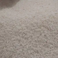 برنج هاشمی|حراج|لاهیجان, لفمجان|دیوار