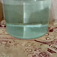 اکواریوم