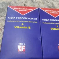 دارو ویتامین دار