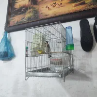 سهره نر رام رام بخون