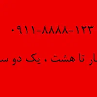 ۰۹۱۱.۸۸۸۸.۱۲۳