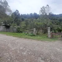 اجاره روزانه ویلا یک خوابه مسعود|اجارهٔ خانه و ویلا|ماکلوان, |دیوار