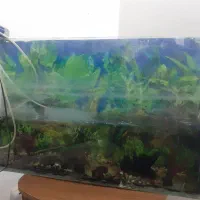 آکواریوم|لوازم جانبی حیوانات|کرج, شهرک البرز ۳|دیوار